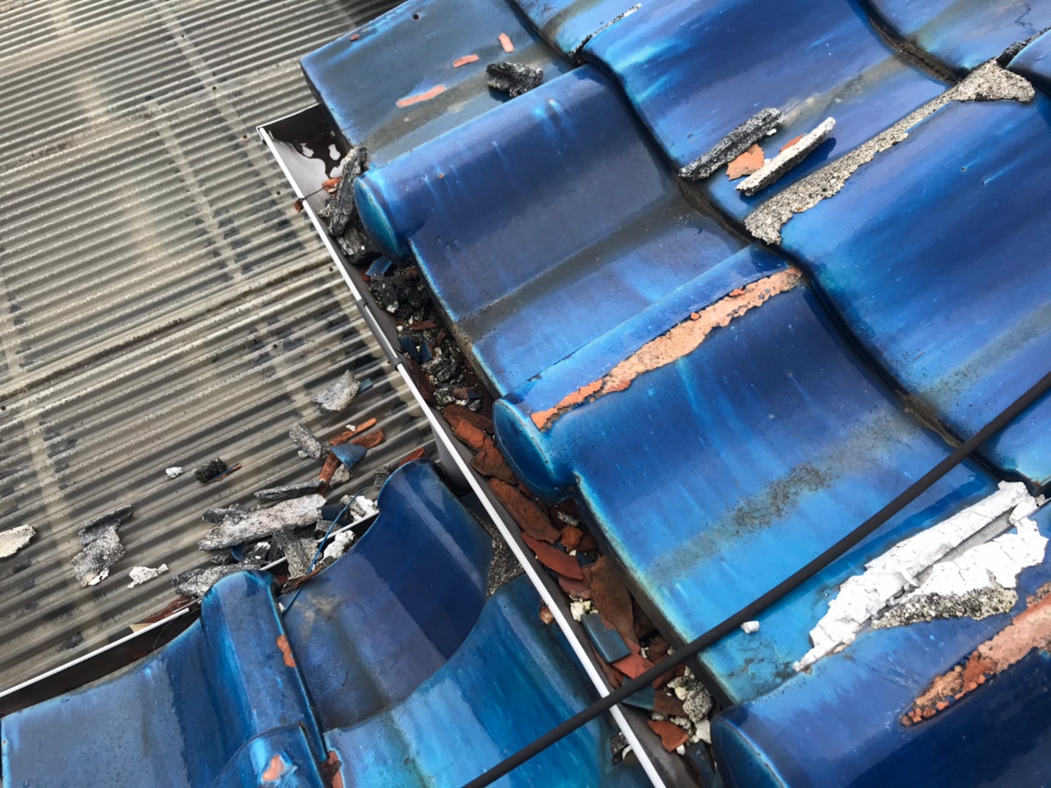 ブルーシート養生